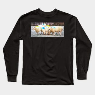 Colourful Sheep Long Sleeve T-Shirt